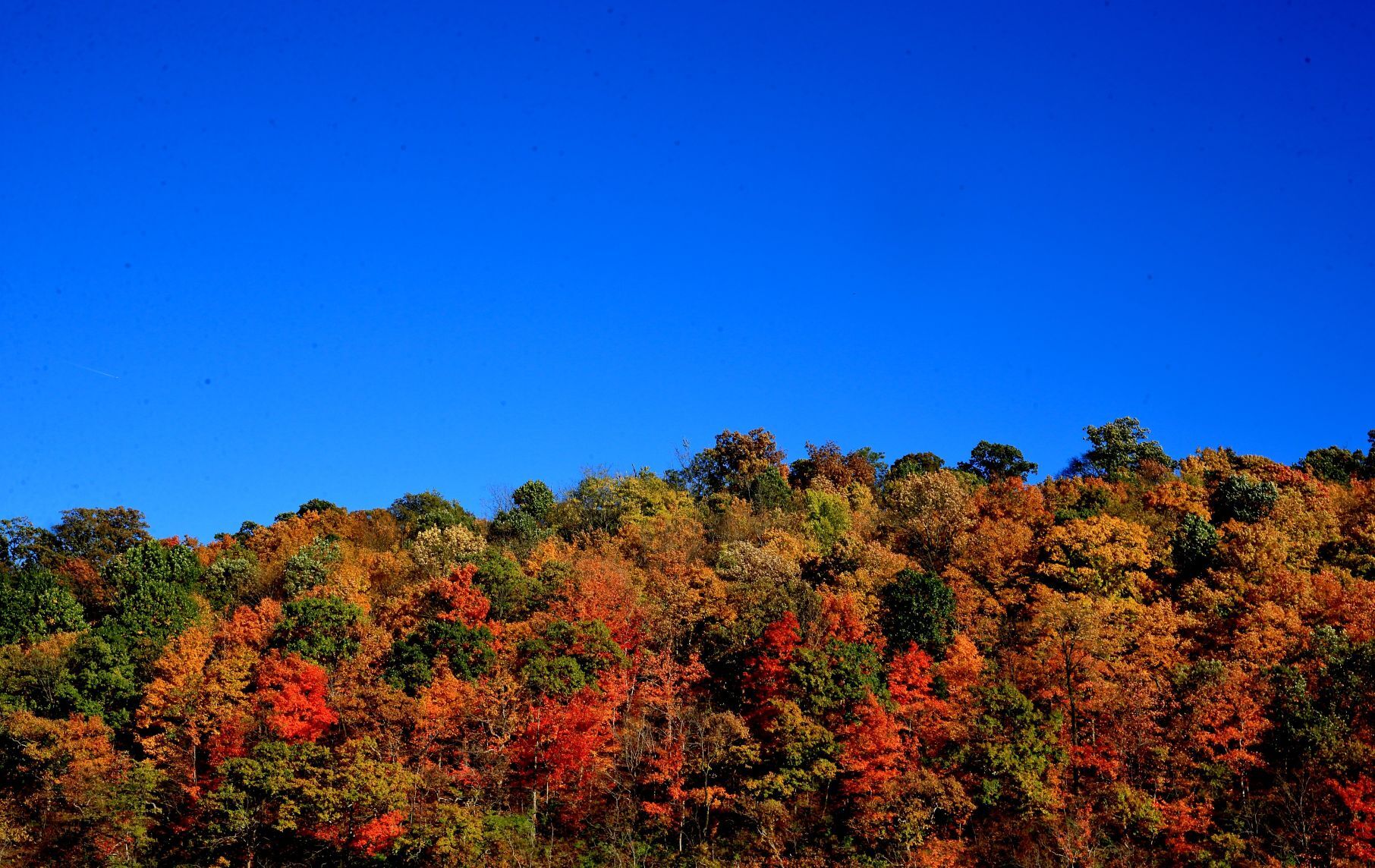 Fall color around St. Louis 2021